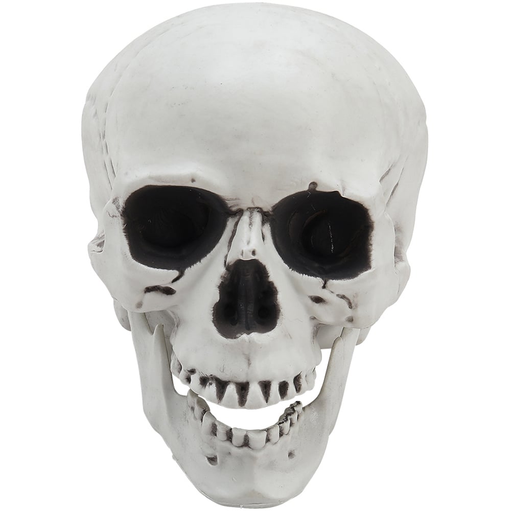 Living and Home Halloween Realistic Tabletop Skull 22cm Image 1