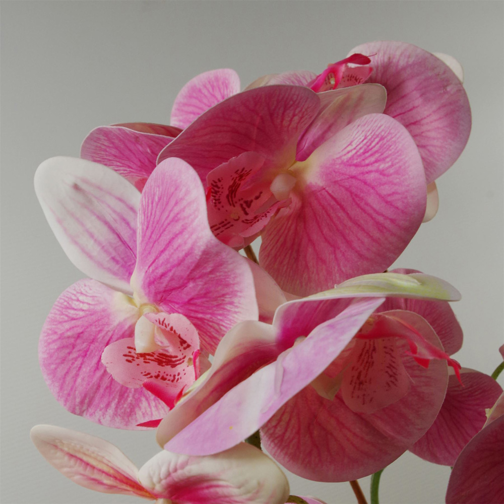 Leaf Artificial Pink Orchid Plant in Black Ceramic Planter 70cm Image 4