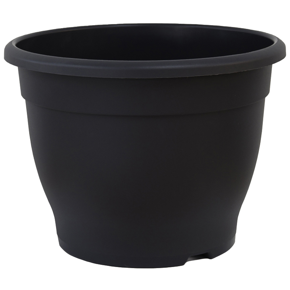 Thompson and Morgan Acer Palmatum Plant in Pot 9cm 4 Pack and Grey Planter 4 Pack Image 6