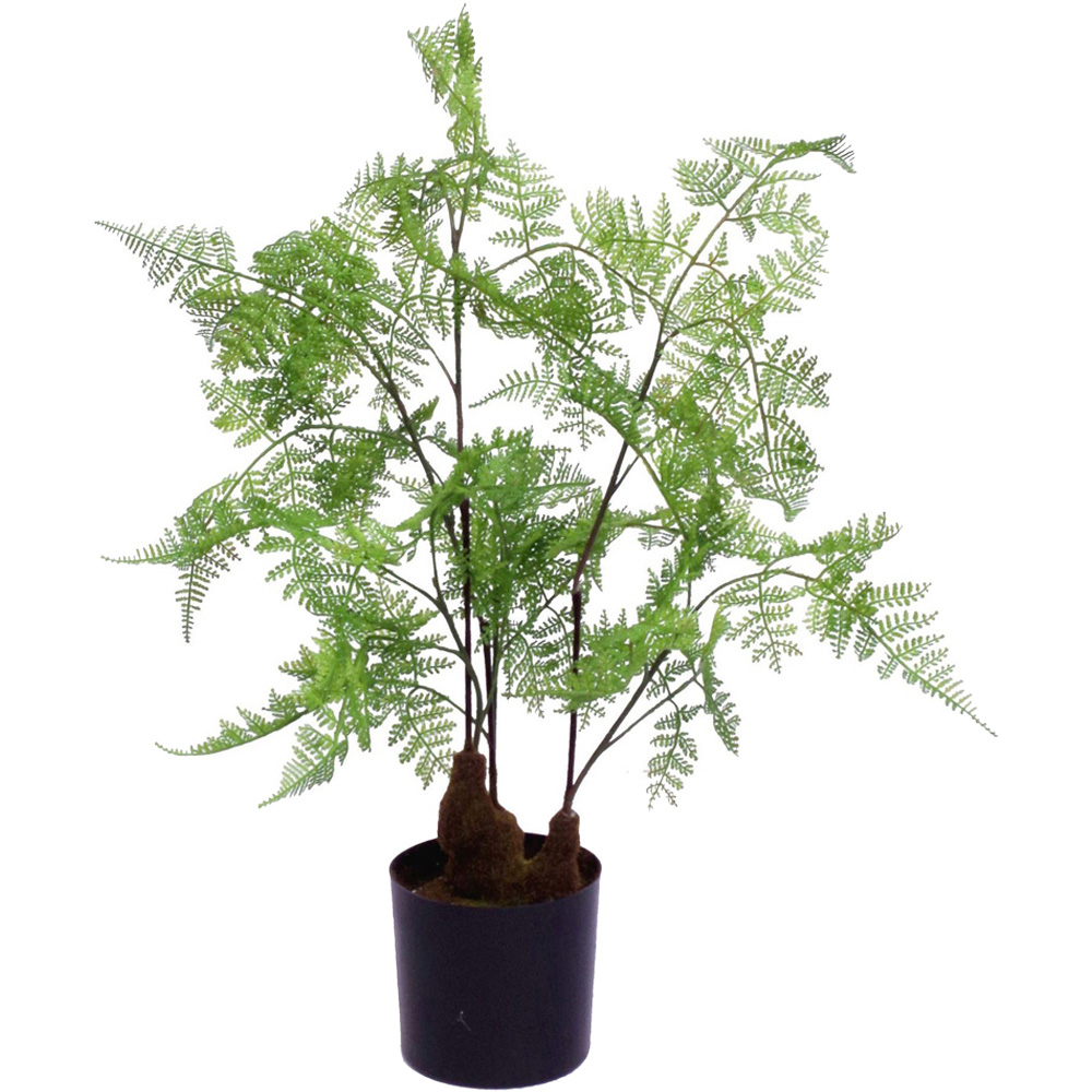 Leaf Fern Artificial Plant in Plastic Pot 2ft Image 1