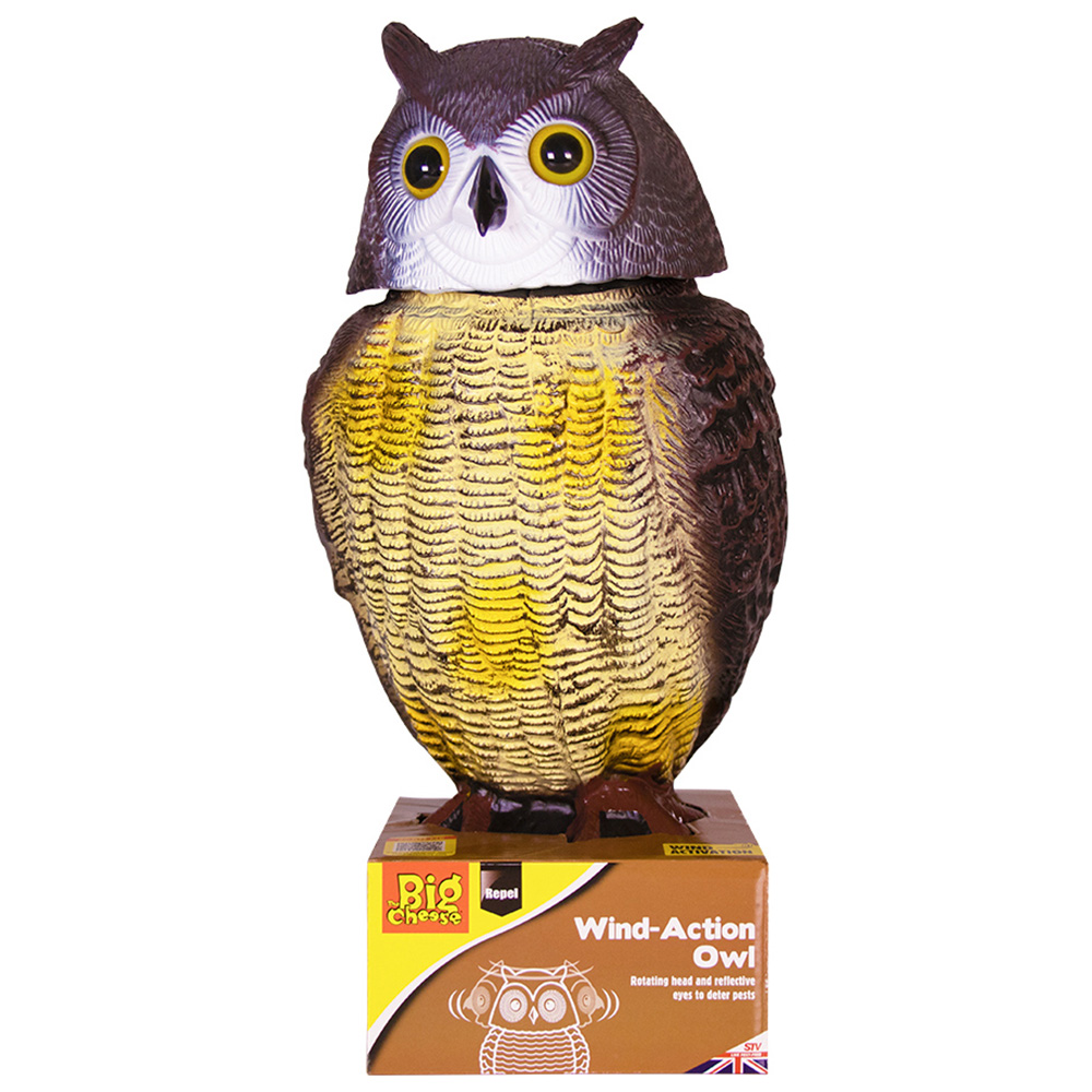 The Big Cheese Wind Action Owl Image 1