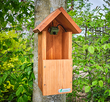 Category Box - Bird Box Camera Kits 375x350.jpg