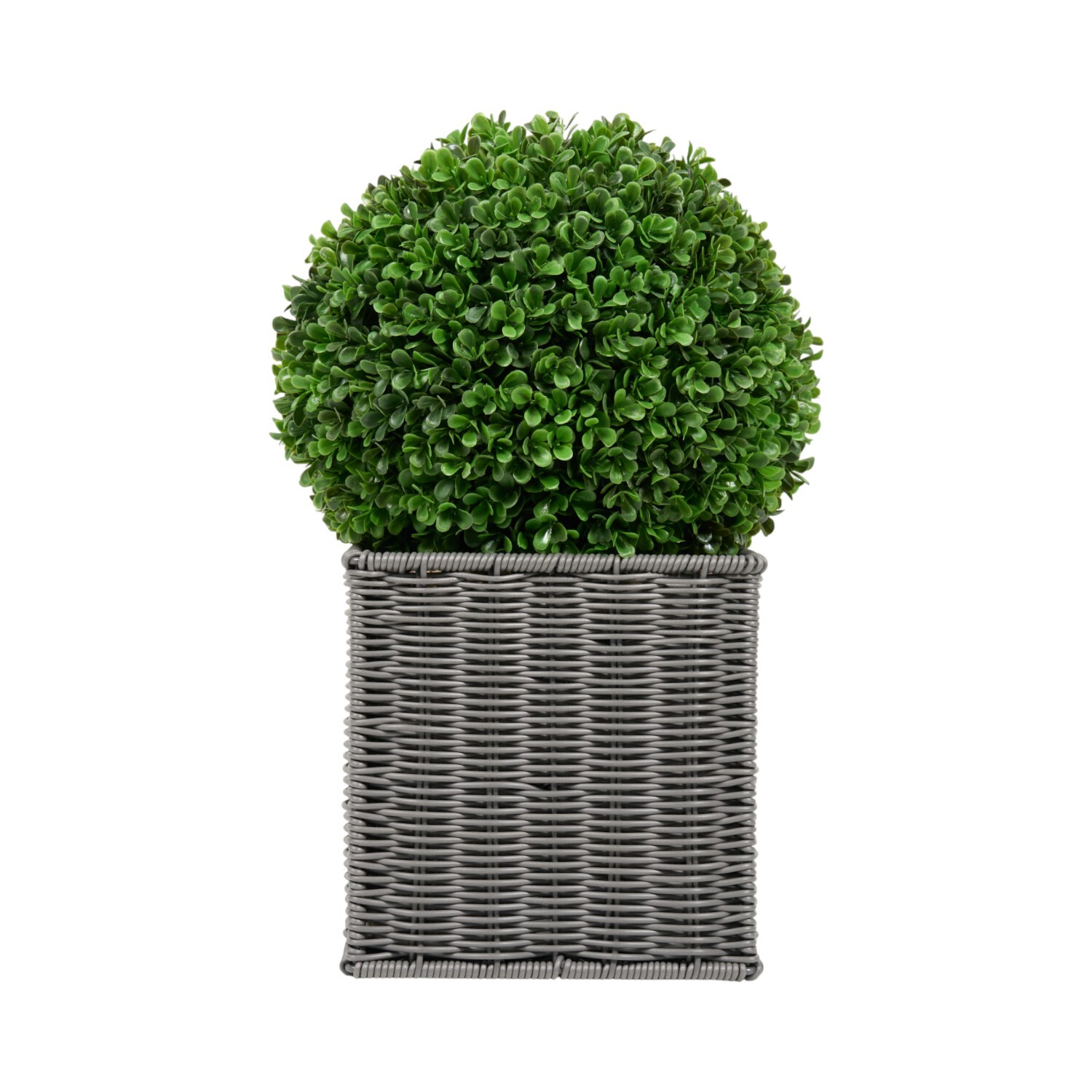 Boxwood Ball in Square Rattan Pot Grey Image 1
