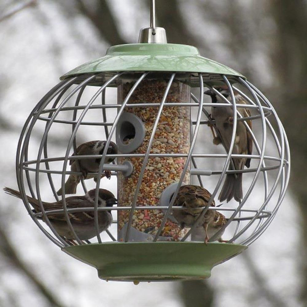 Thompson and Morgan The Nuttery Celadon Green Squirrel Proof Seed Feeder Image 2