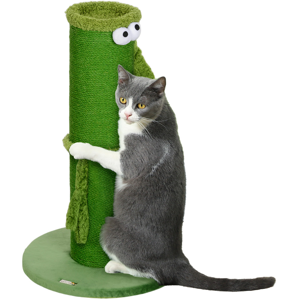 PawHut Large Cat Scratching Post Image 1