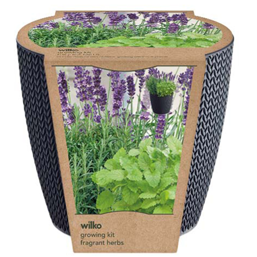 Wilko Fragrant Herbs Growing Kit Gift Set Image 2