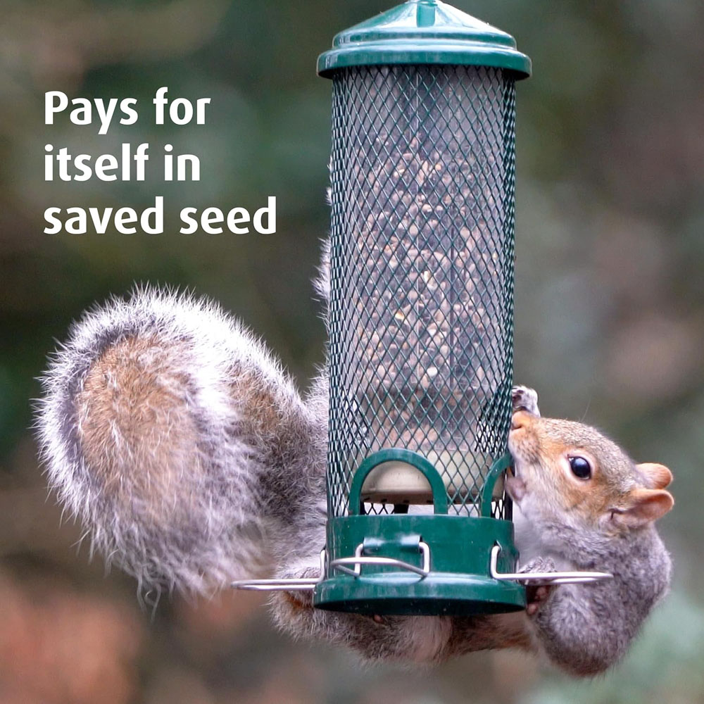 Happy Beaks Brome Squirrel Buster Mini Seed Feeder Image 4