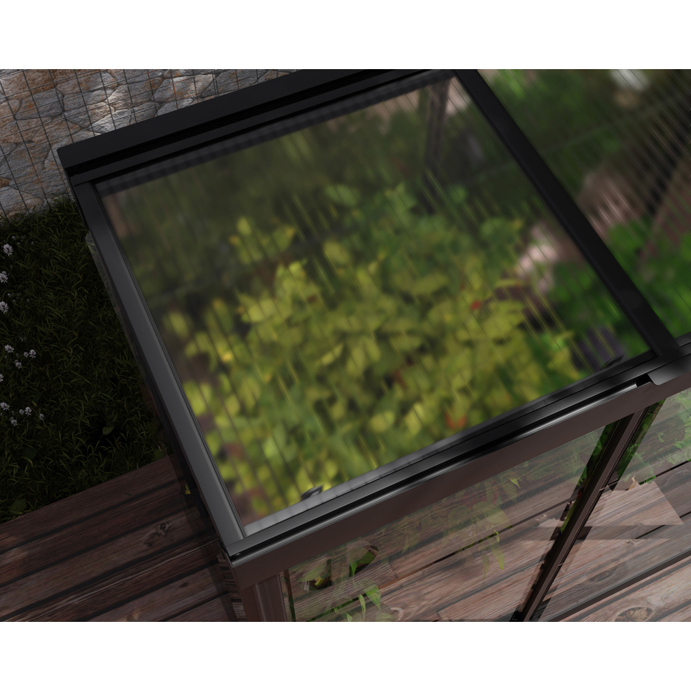 Palram Canopia Ivy Black 4 x 2ft Greenhouse Image 4