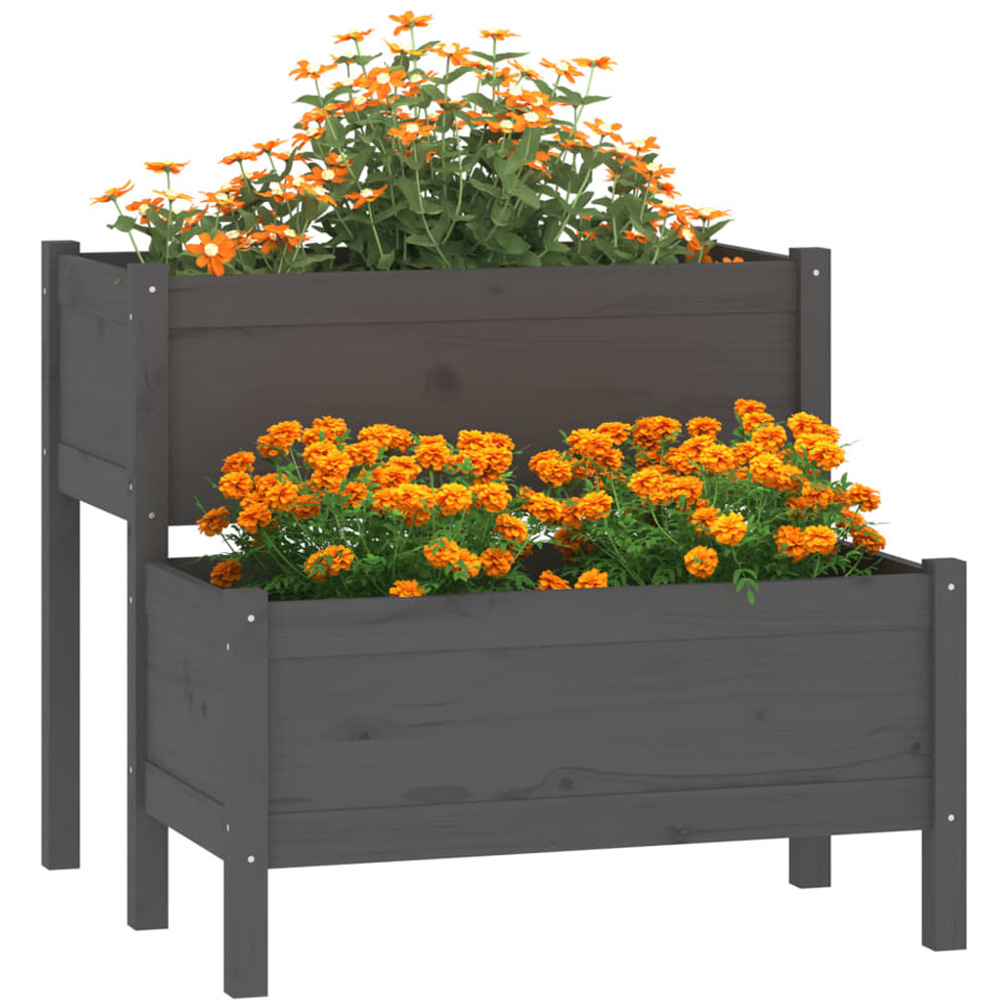 vidaXL Grey Pine Wood Raised Garden Bed 75 x 84.5 x 84cm Image 2