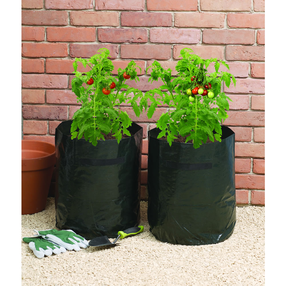 Wilko Grow Bag Tomato 46L 2pk Image