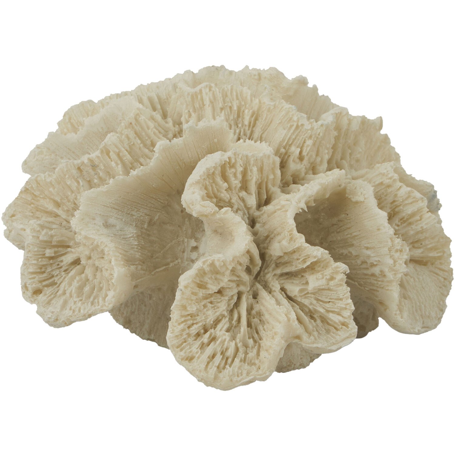 Coral Ornament - Natural Image 1