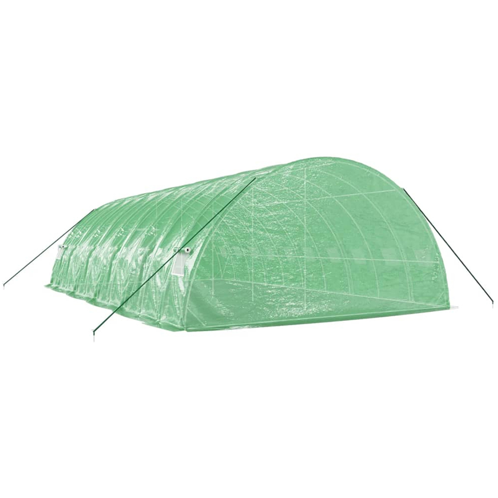 vidaXL Green 19.7 x 32.8ft Greenhouse Image 3