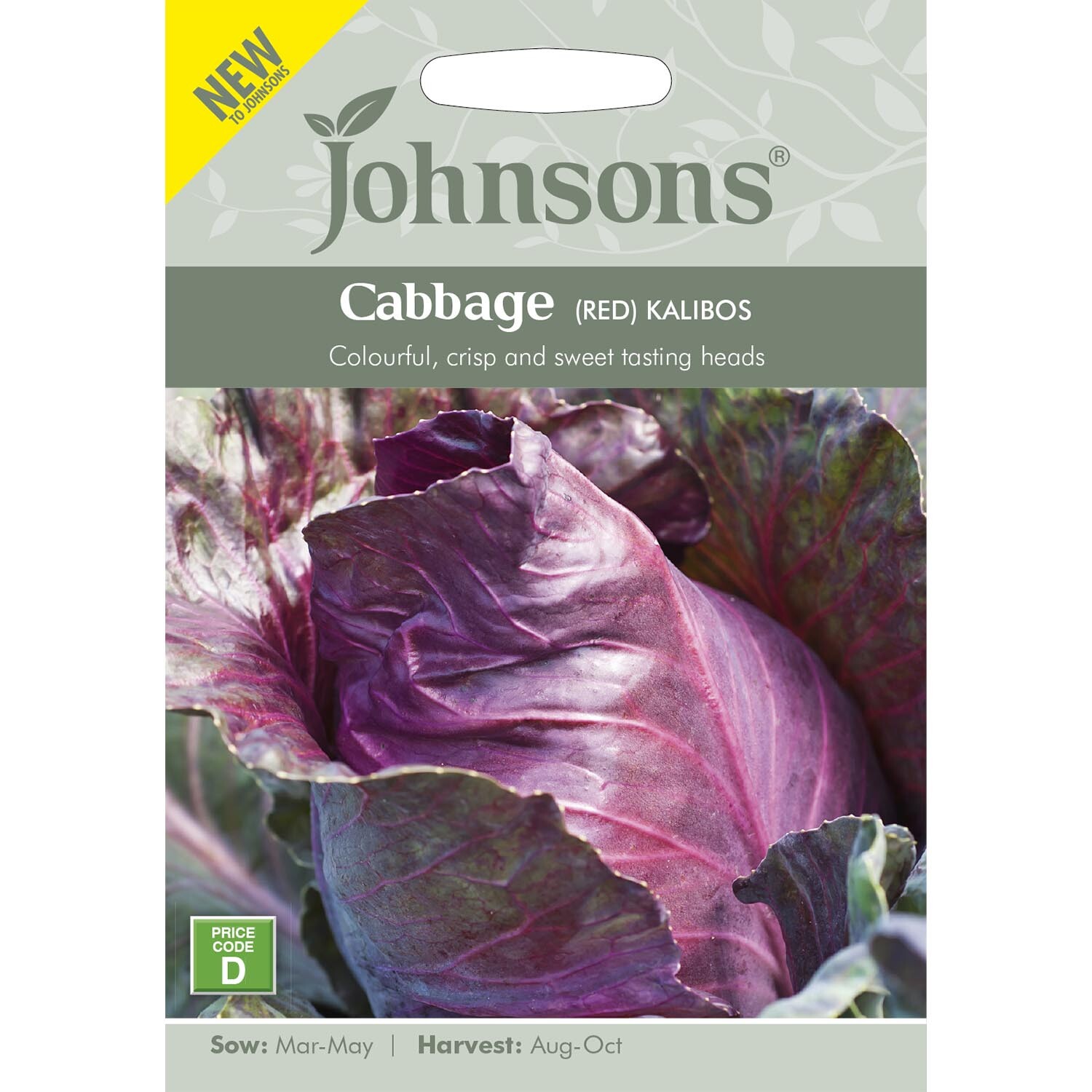 Johnsons Red Cabbage Kalibos Vegetable Seeds Image 2