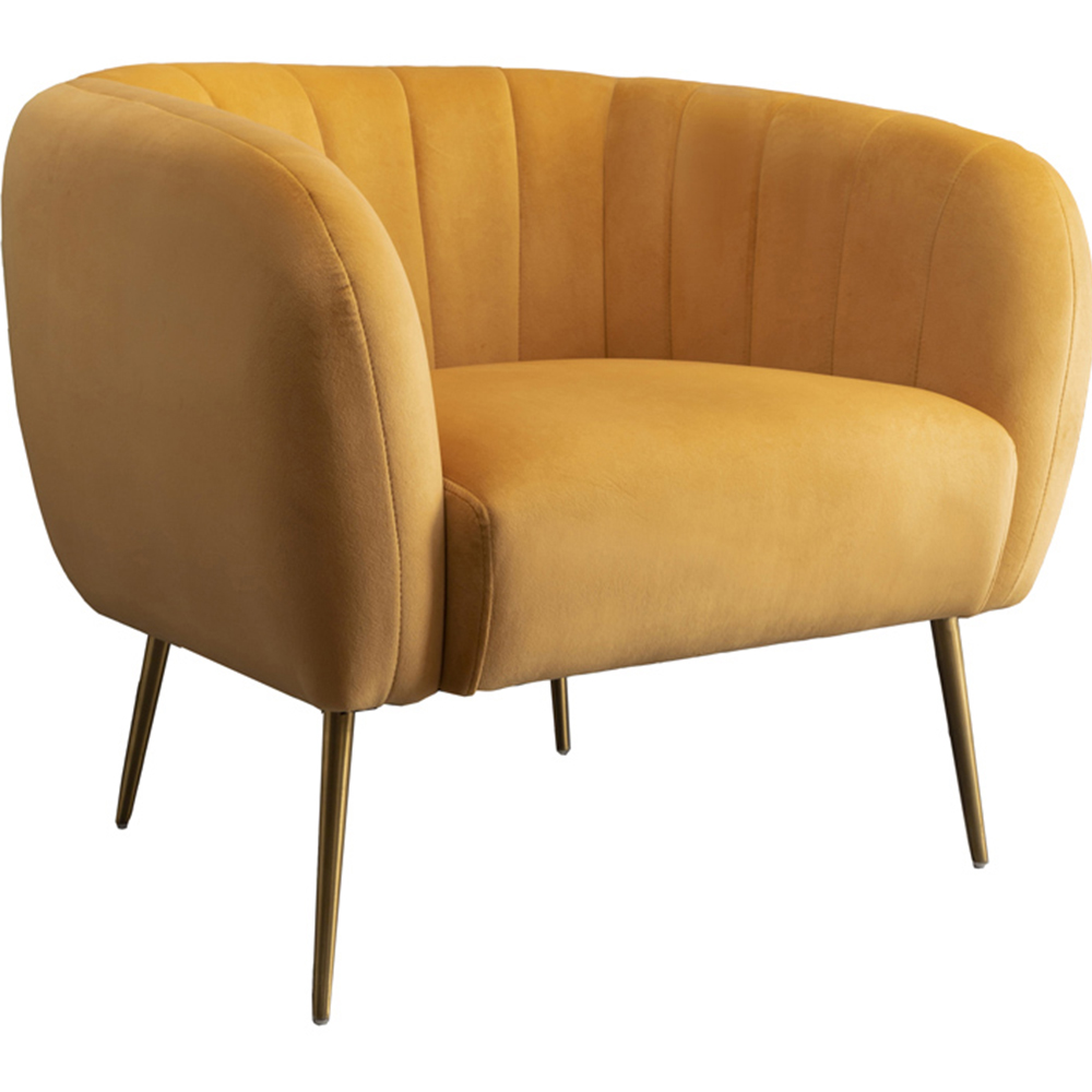 Artemis Home Matilda Yellow Accent Chair Image 2