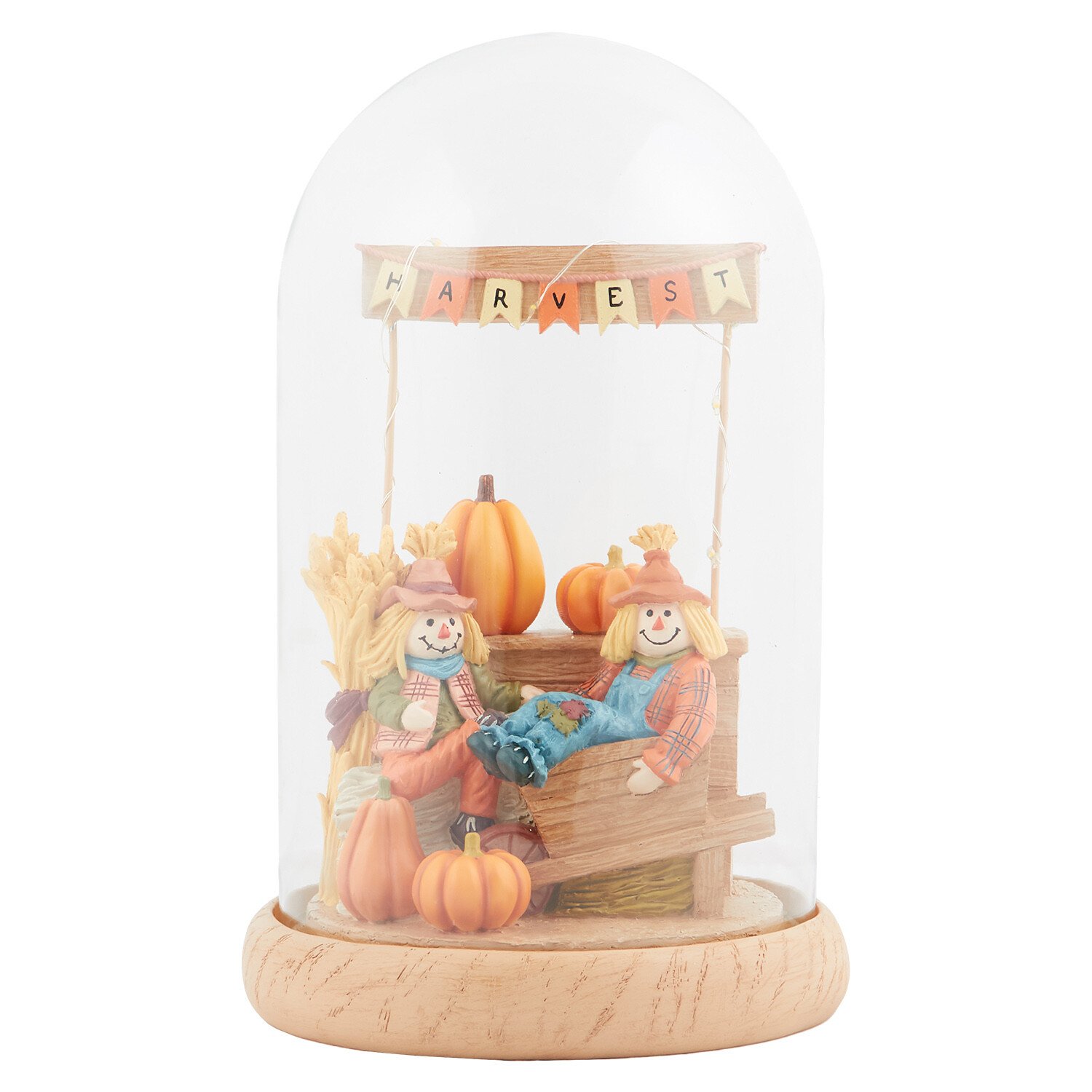 Scarecrow Encased Light Multicolour Image 1