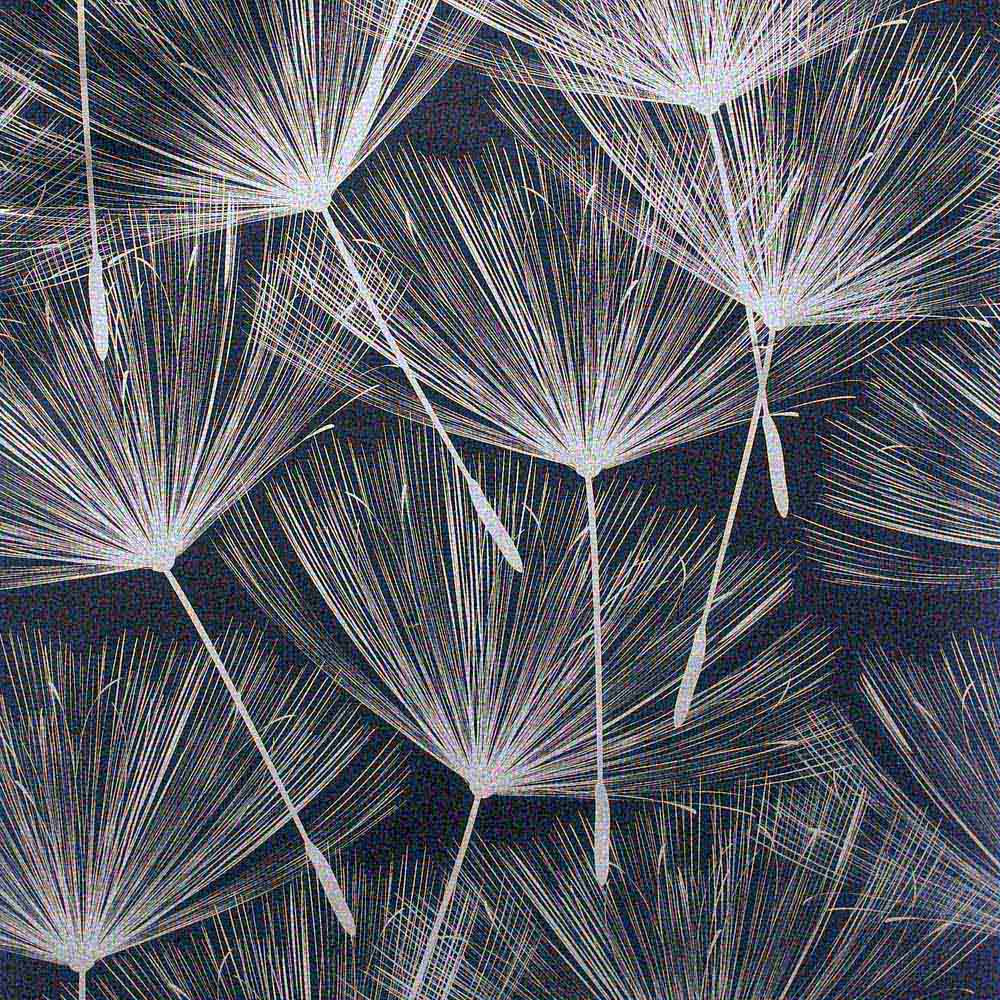 Arthouse Harmony Dandelion Navy and Silver Wallpaper Image 1