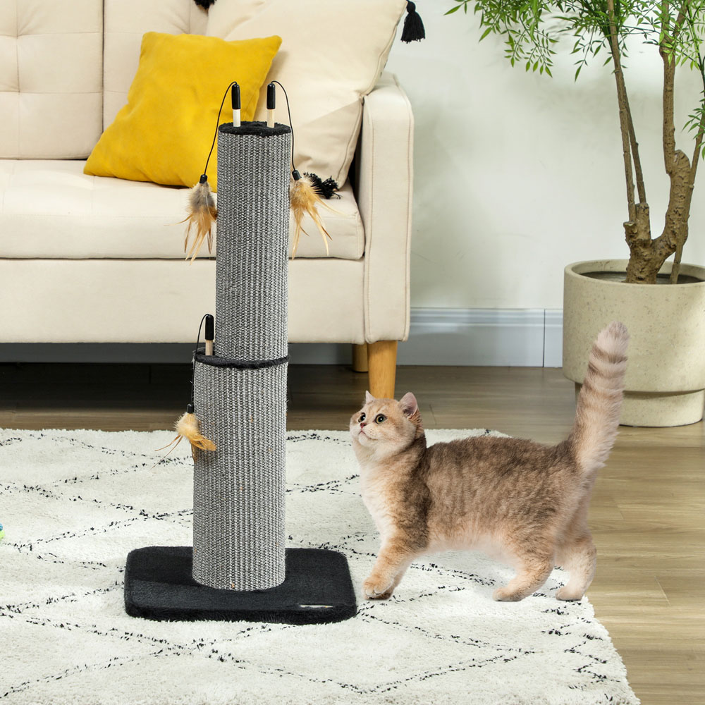 PawHut Black Tall Cat Scratching Post 78cm Image 2