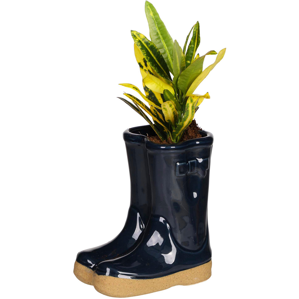Dibor Midnight Blue Double Wellington Planter 17cm Image 1