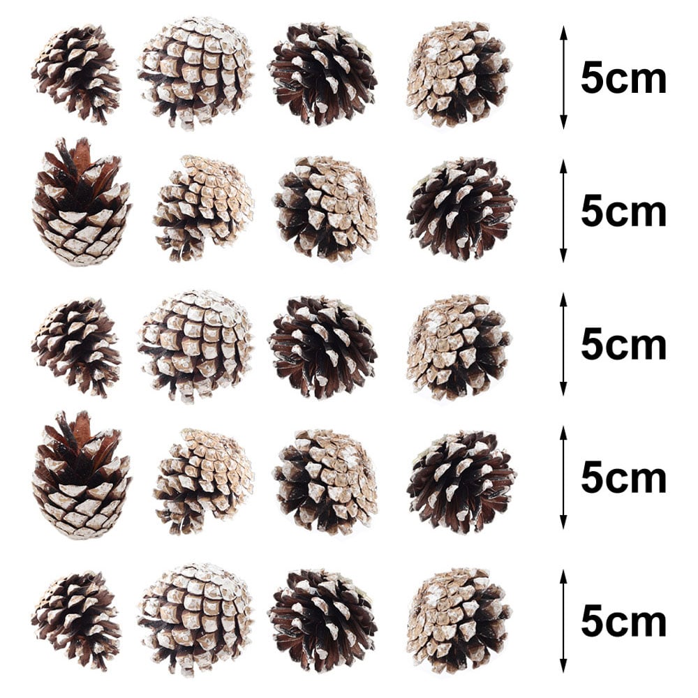 Living and Home Dyed Pine Cone Ornament 30 Pack Image 9