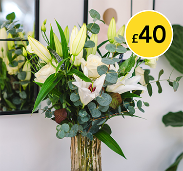 Subtle Hues White Flowers