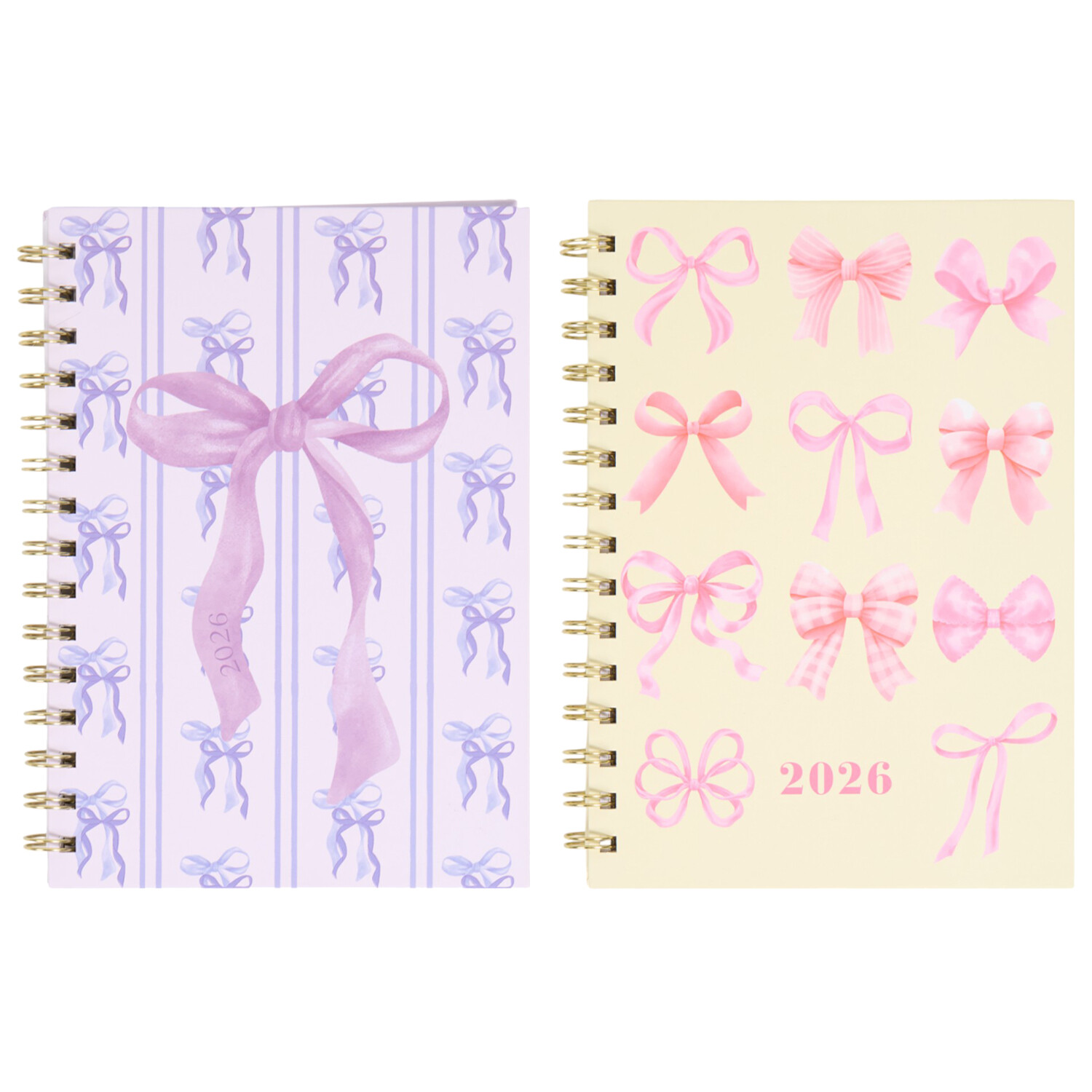 2026 Bow Diary Image 5