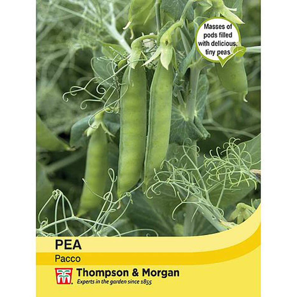 Thompson & Morgan Pea Petit Pois Pacco Seed Packet Image 2