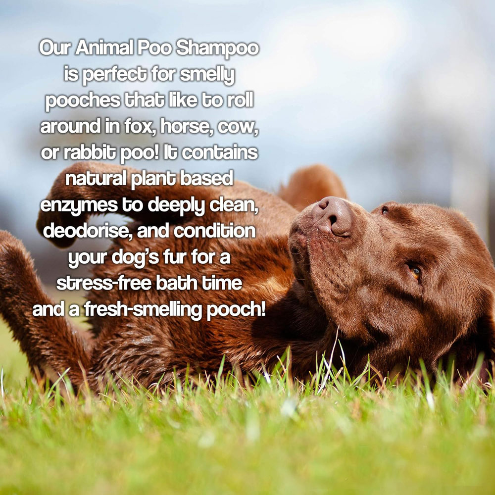 Pretty Pooch Animal Poo Deodorising Dog Shampoo and Conditioner 5L Image 2