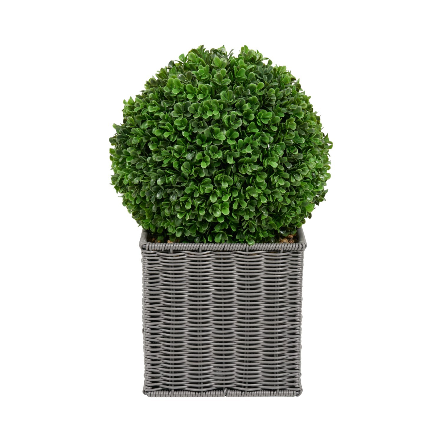 Boxwood Ball in Square Rattan Pot Grey Image 3