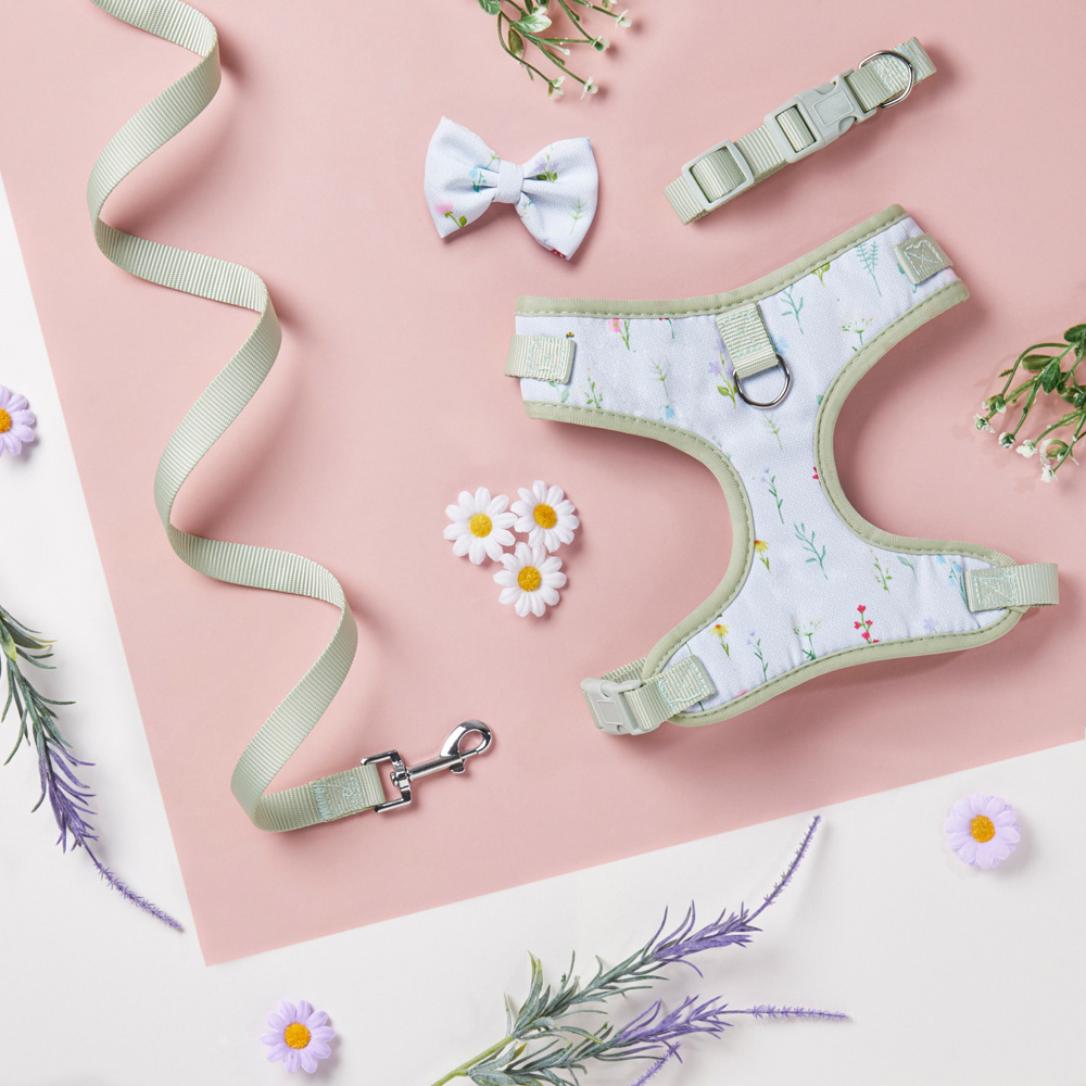 Floral Collar Lead and Bow Set - Green / Medium Image 2