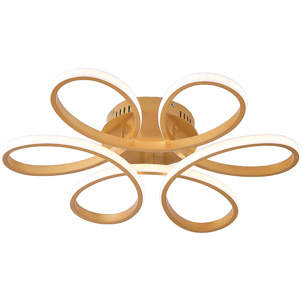 Living and Home Golden Frame Modern LED Ceiling Light Image 1