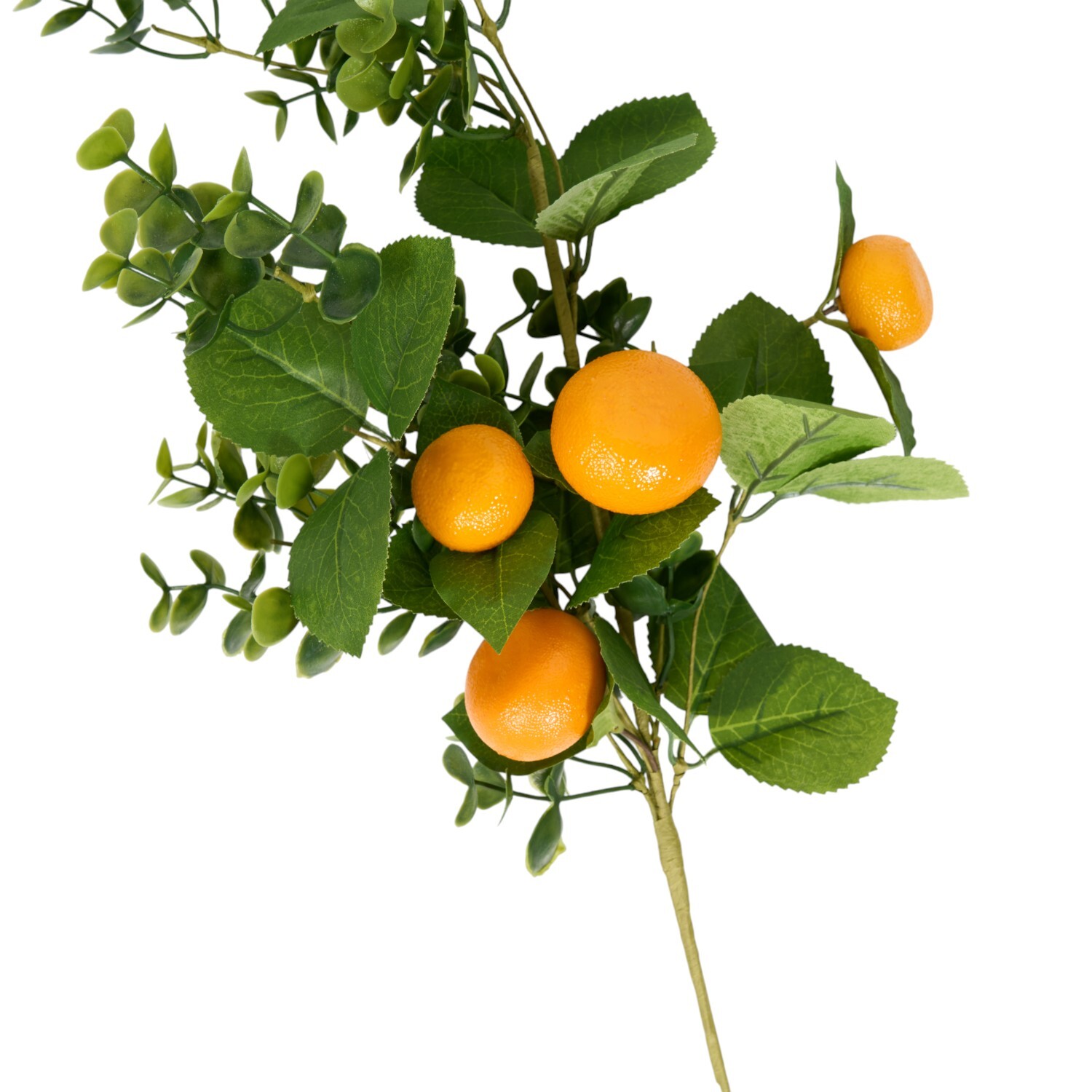 Orange Spray Image 3