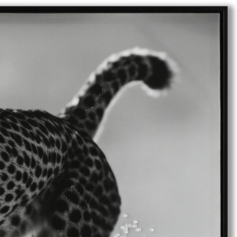 Monochrome Cheetah Framed Print - Black Image 6