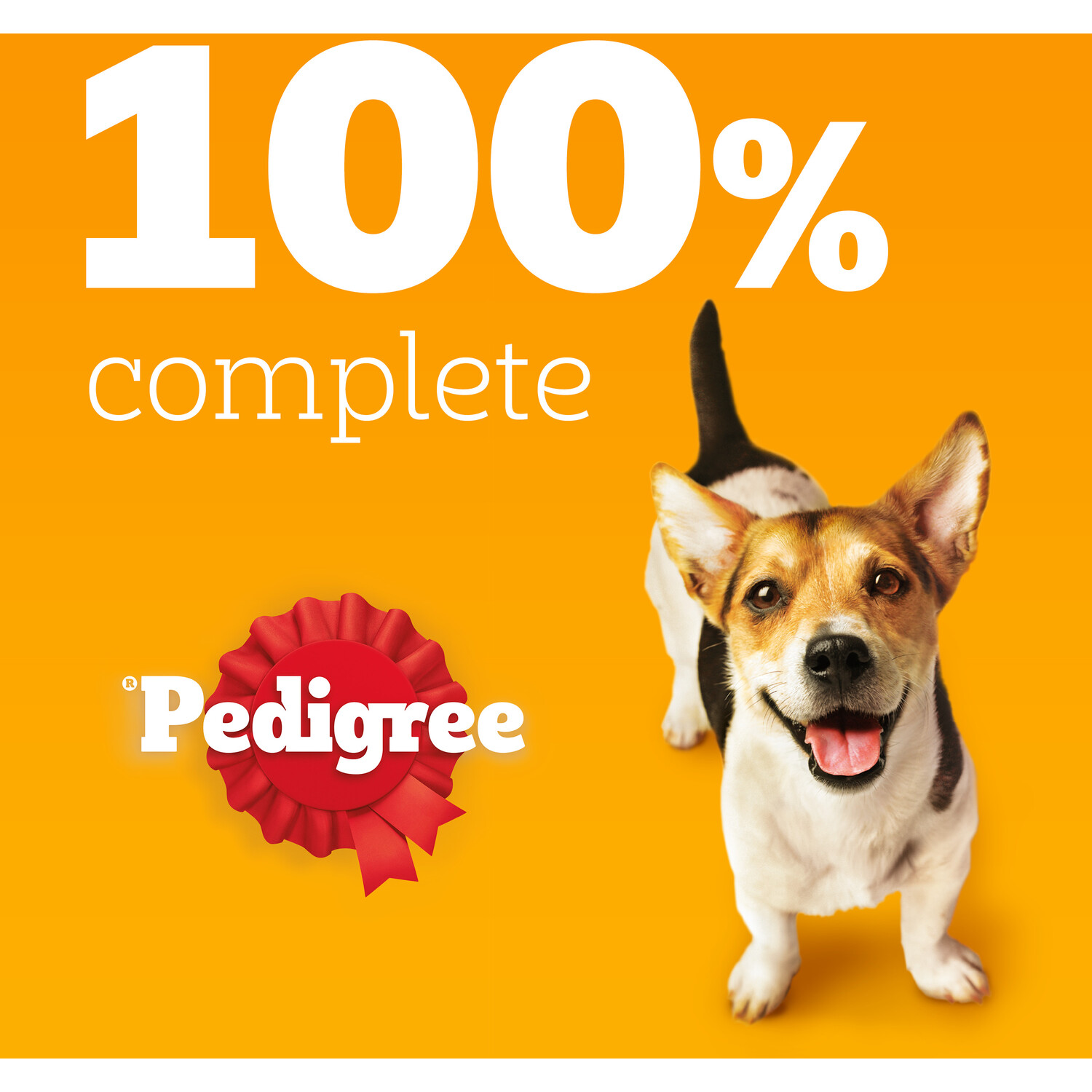 Pedigree Complete Small Dog Food Image 5
