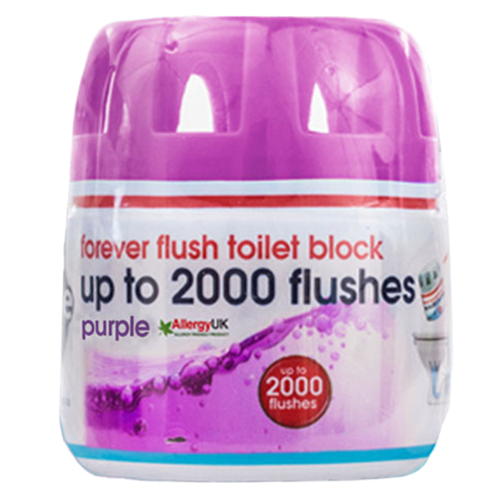 Ecozone Forever Flush Toilet Block Image 2