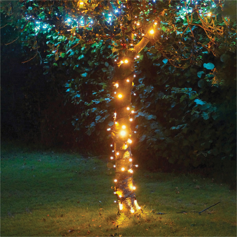 Eagle Connect Warm White LED Black String Light 30m Image 1