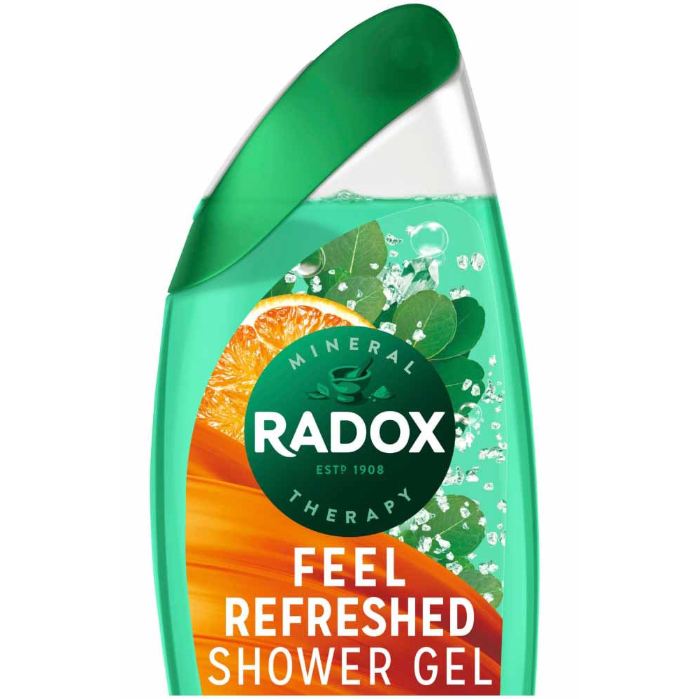 Radox Feel Refreshed 2 in 1 Shower Gel 250ml Image 2