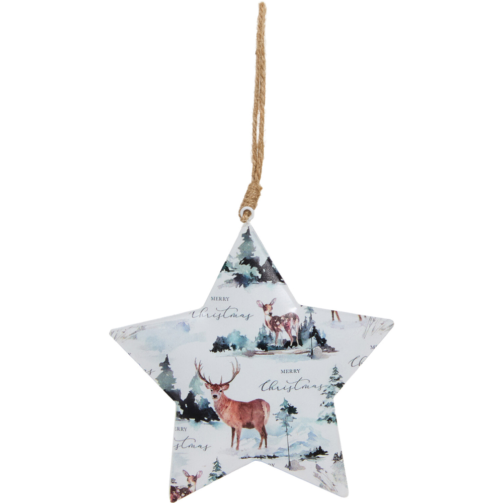 Metal Scandi Hanging Star Decoration Image 4
