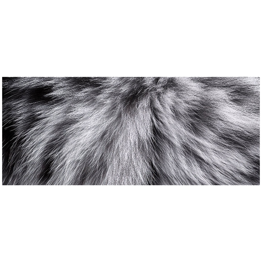 Warren Reed Designer Silver Tabby Cat Print Bathroom Splashback 25 x 60cm Image 2