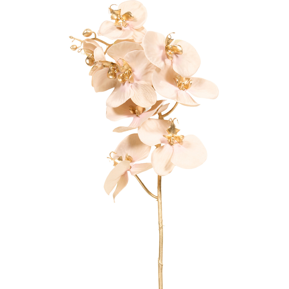 Shimmer Orchid Stem Image 4