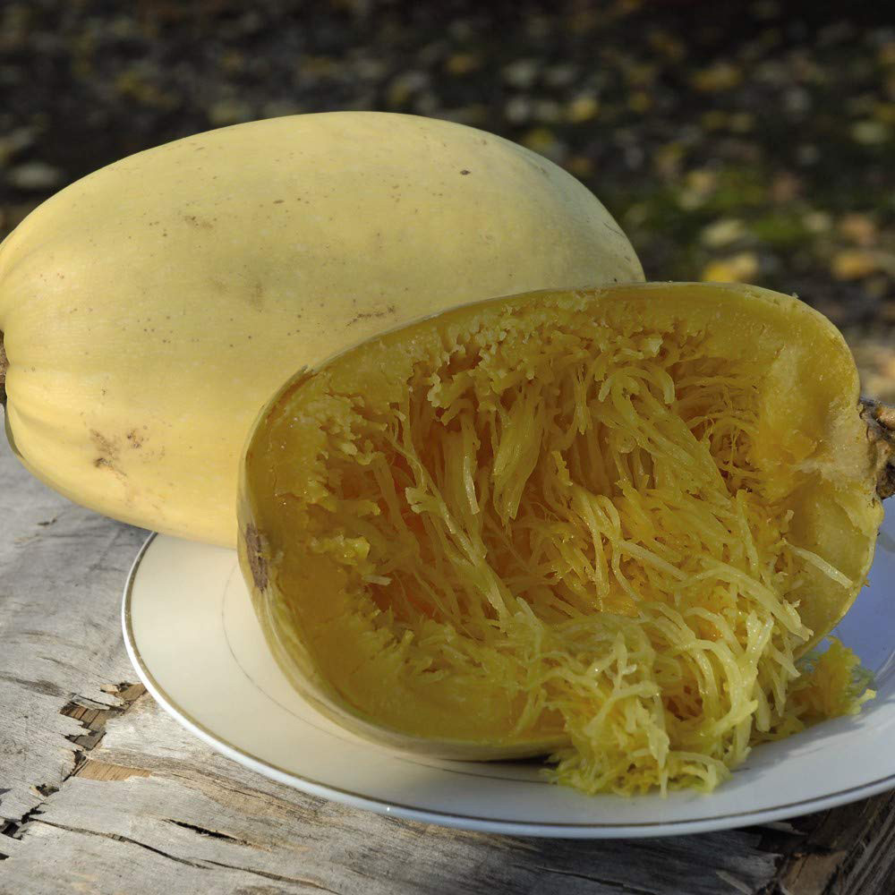 Thompson and Morgan Squash Spaghetti Primavera F1 Seeds Image
