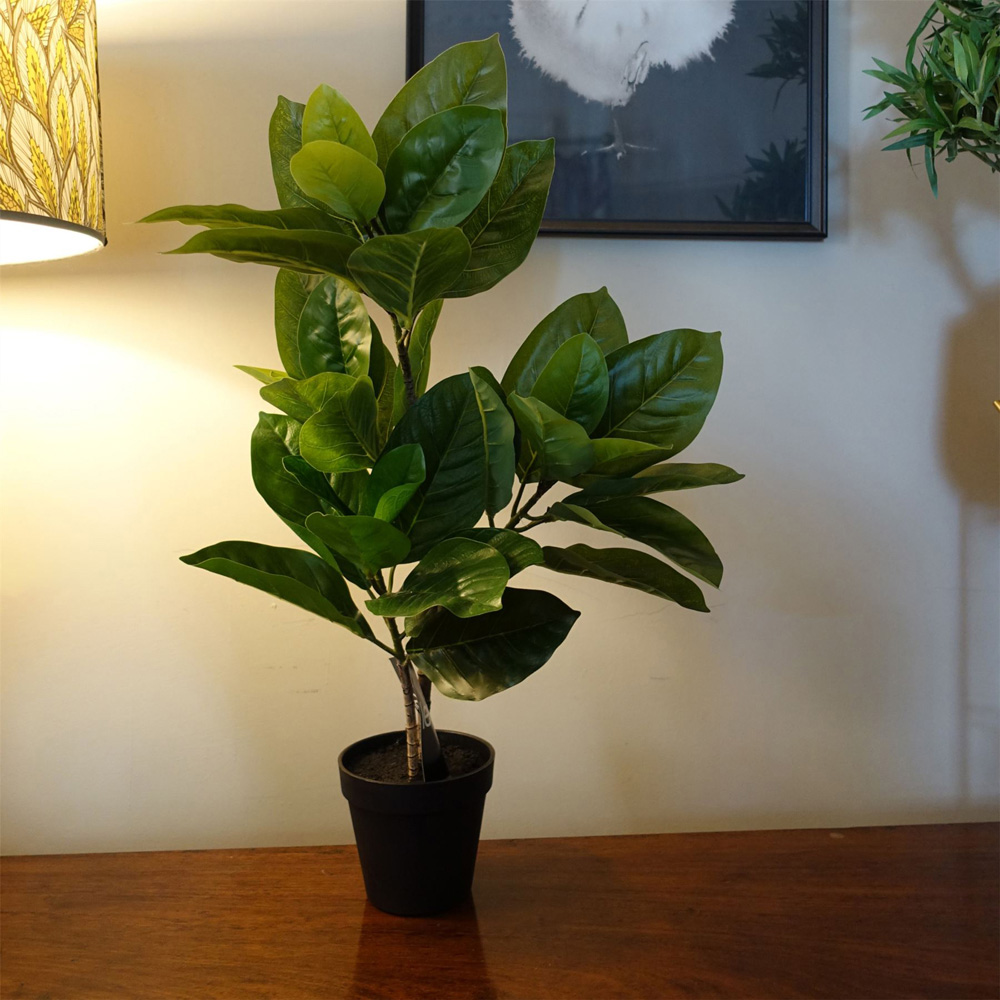 Leaf Rubber Artificial Plant in Pot 65cm Image 2