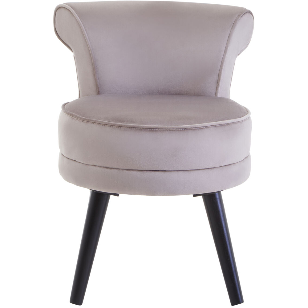Premier Housewares Kids Loretta Mink Velvet Chair Image 5