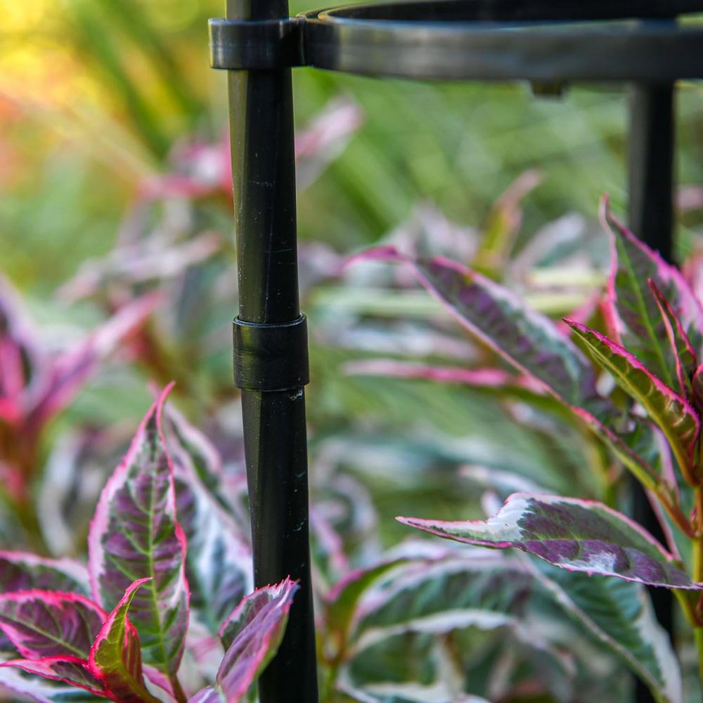 Garden Gear Metal Obelisk 1.6m 2 Pack Image 4