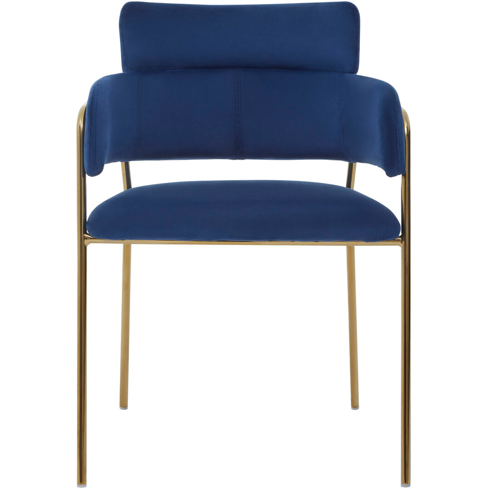 Premier Housewares Tamzin Blue Velvet Dining Chair Image 2