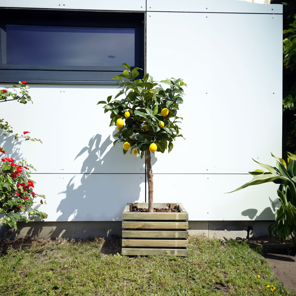 Cerland Kub Wooden Square Planter 40cm Image 4