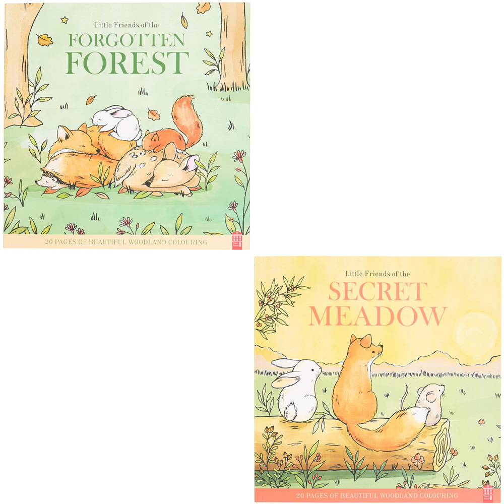 Little Autumn Friends Colouring Book Image 8