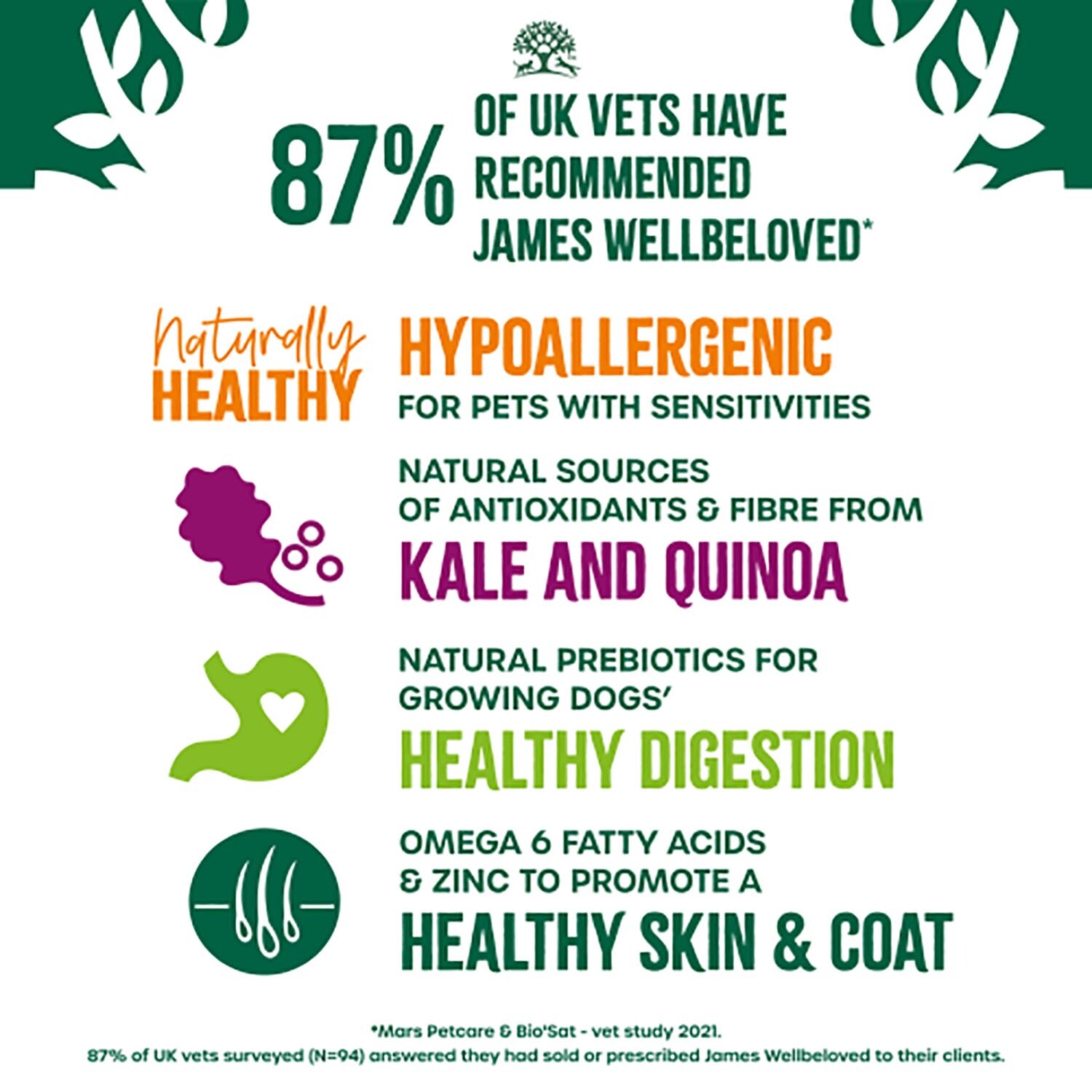James Wellbeloved Turkey with Kale and Quinoa Dry Dog Food 1.5kg Image 8