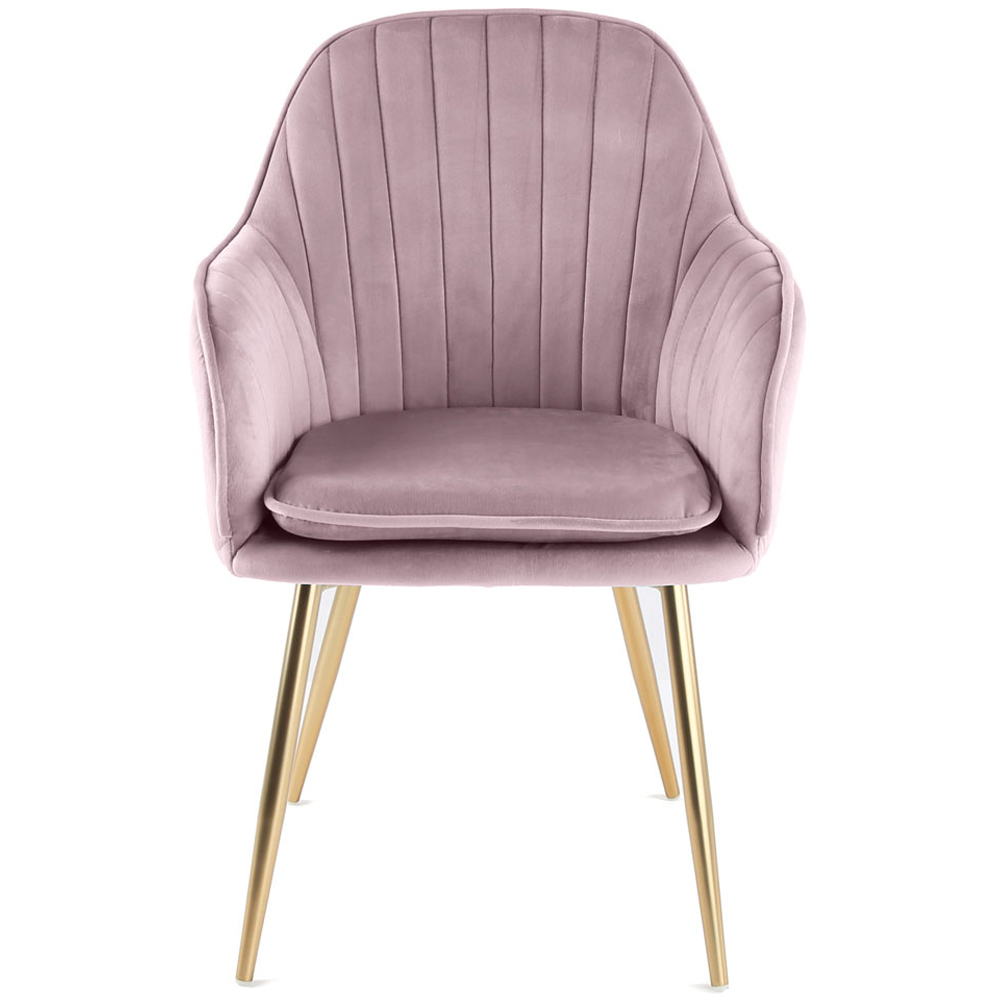 Muse Violet Tulle Velvet Accent Chair with Golden Legs Set of 2 Image 3