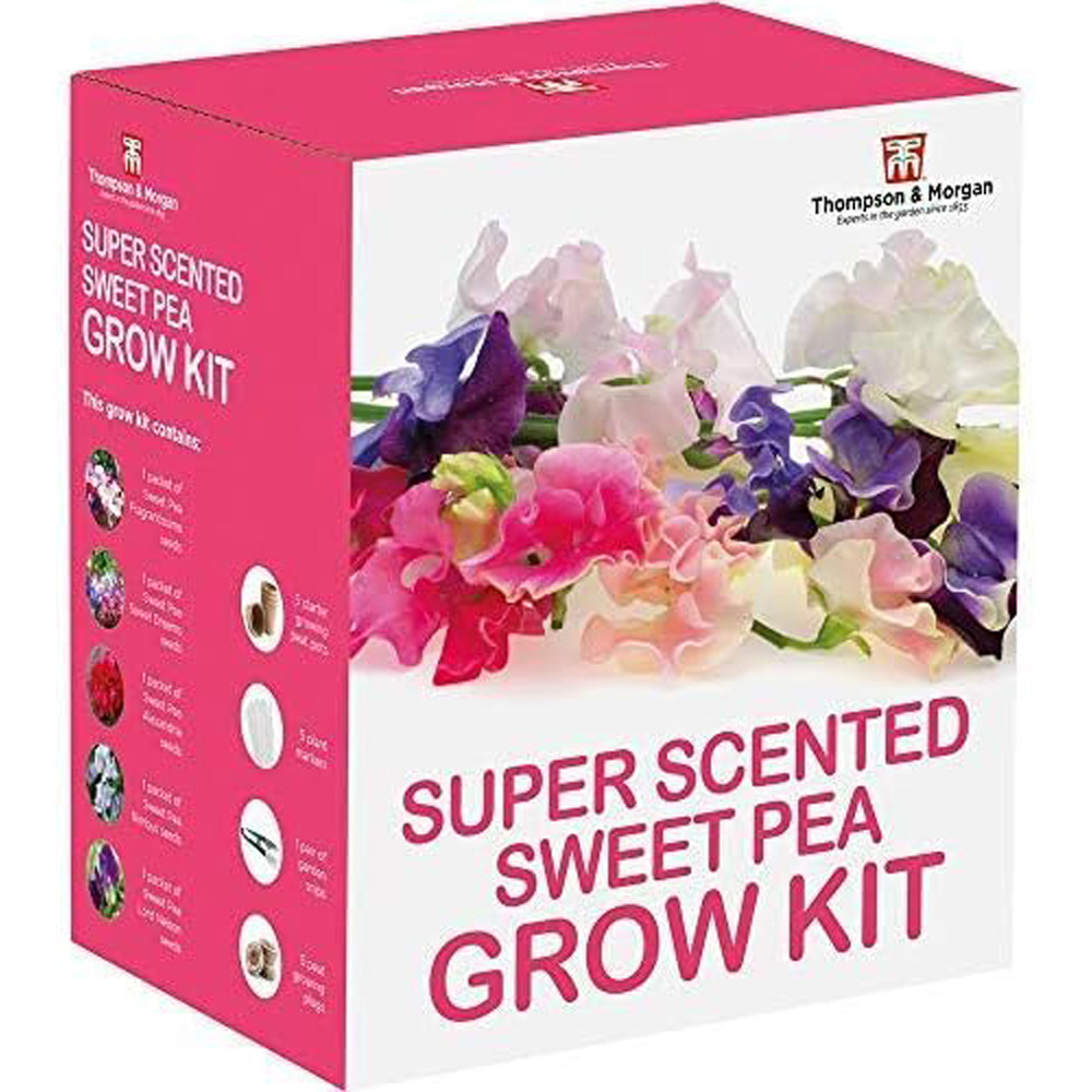 Thompson and Morgan Sweet Peas Seed Growing Kit Image 1