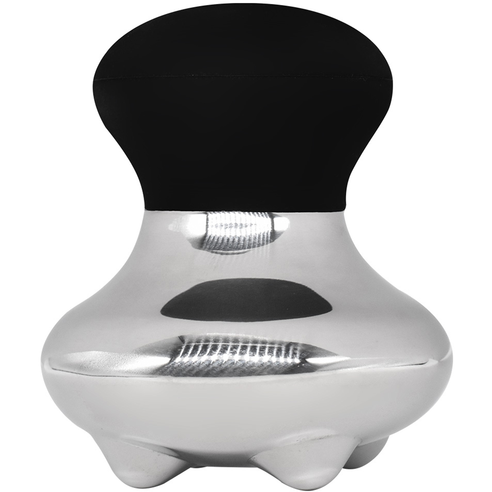 Avilo Stainless Steel Facial Handheld Cooling Massager Image 1